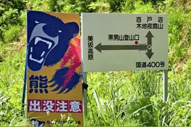 日本各地频现“熊出没”一周内至少三人遇袭受伤图片
