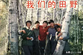 我们的田野 -中国电影出版社1984图片