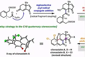 上海有机所，两篇JACS图片