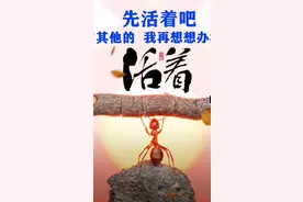 富士康工资最高的时候是哪一年？图片
