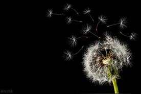 涵锐科技│大盘BTC，ETH普遍暴涨，为什么FIL不涨？暗藏什么玄机图片