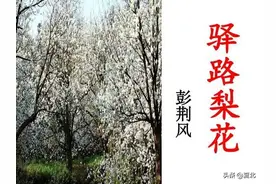 部编版语文七年级下册第四单元《驿路梨花》教学实录图片