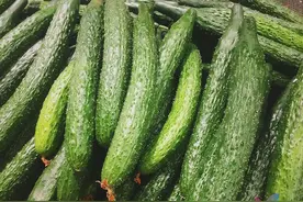 苦味黄瓜有毒？顶花带刺是打了激素？有一种必须少吃图片
