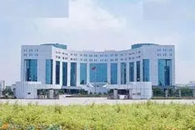 广州市番禺区2021年面向全国公开选调（调任）副处级干部公告图片