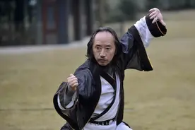 青城派掌门刘绥滨：我认为传统武术是越老越厉害图片