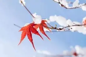 俗语“雨里夫妻泪交流，雪里夫妻不到头”，难道雨雪天结婚不好？图片