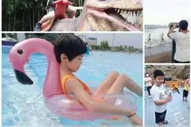 盛夏秘密，艳丽恣意——智源小学彩虹班暑期生活碎片图片