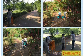 栖霞区栖化新村社区：浇灌鲜艳花朵，搭建幸福花廊图片