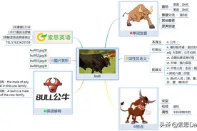 索思英语解码单词（第486个）——bull公牛图片