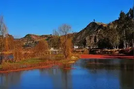 用数据告诉你，我为什么选择做回农民图片