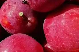 前景广阔双秋红苹果图片