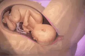 孕妈再不改掉这些恶习，羊水会越来越浑浊，不止会影响胎儿的呼吸图片