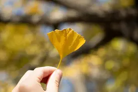 女人如此称呼你，不是随便说说，而是动真情了图片