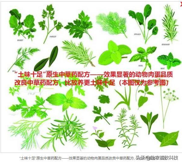 如何批量化生产高品质让消费者认可的“土味十足”动物产品