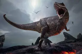 存活了近3亿年的生物，熬过了三次世纪大灭绝，如今却被用来喂鸡图片