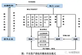 不良资产丨地方AMC主营业务梳理图片