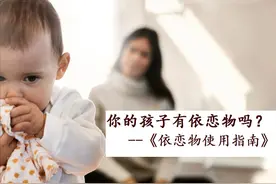 你的孩子有依恋物吗？--《依恋物使用指南》图片