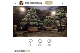 真怀了！郭碧婷被目击挺大肚逛街图片