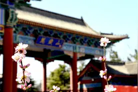 万岁山大宋武侠城4月3日开放图片