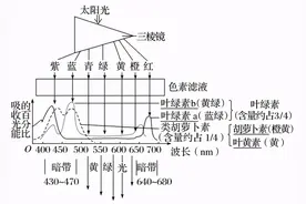 高中生物必修一考点梳理（2）图片