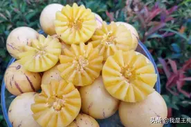 秋天吃梨子，还不如吃人参果，硒元素比苹果高10几倍，补水抗疲劳图片