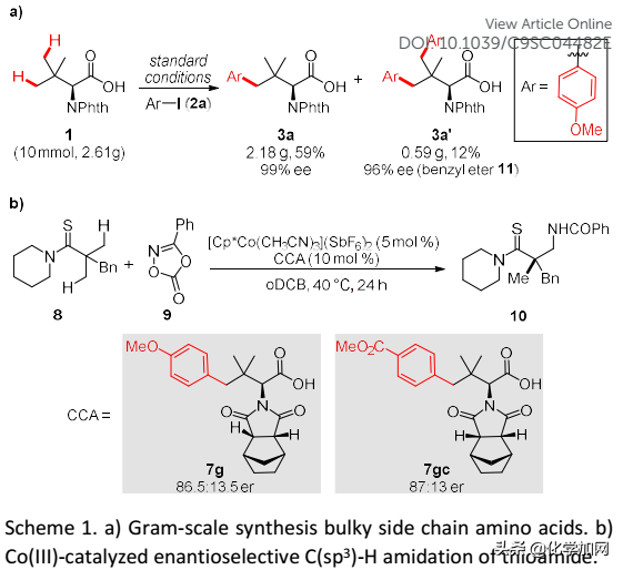 浙大史炳锋课题组Chem. Sci.：合成含大体积侧链的氨基酸和多肽