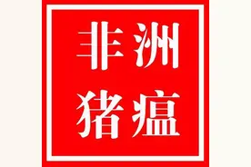 肥猪出现全身发红、驱赶不动、萎靡不食，是非洲猪瘟么？图片