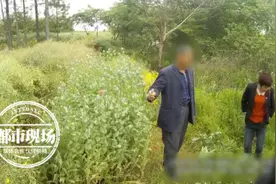 因为一颗种子，老汉祸事上身：只是拿来煮茶叶蛋图片