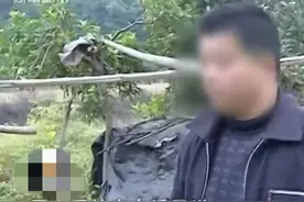 闪婚小娇妻，要求做个亲子鉴定有错吗？图片