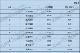 4月重、中、轻、微卡销量排名出炉图片