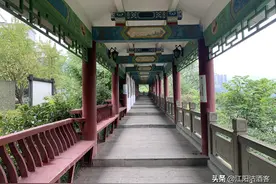 泸州千年真百子图，被20年伪文物取代，事实果真如此吗？图片