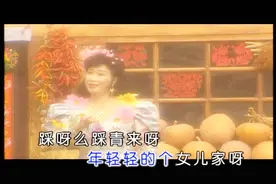 名人名歌原人原唱：王苏芬-《花儿与少年》视频封面