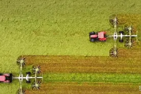 全球粮食大减产，6.9亿人在挨饿，会爆发粮食危机吗？图片