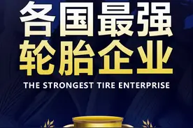 世界各国最强轮胎企业-2020图片