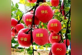 中老年表情包：累了就停下吧，这不是懦弱的逃避，而是自我的释放图片