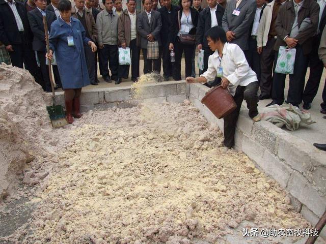 研究表明发酵饲料具有改善氨基酸、脂肪酸，肌肉理化特性及风味