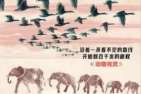 300多张手工版画，描绘150多种动物，带你领略动物之美，生命之奇图片
