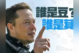 马斯克发中文《七步诗》引猜测，外国网友在谷歌翻译中苦苦挣扎…图片