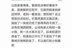 你们有没有养过成精的宠物？我家狗狗就这样，把我管得紧紧的图片