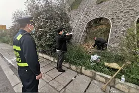 筑大高速旁惊现上百只死鸡，相关部门介入调查图片