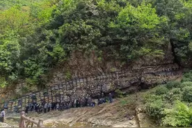 近日，一深山老林，发现“史前巨鳄画石”，震惊画界图片