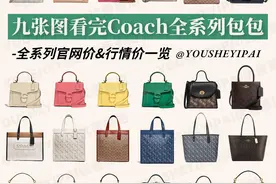 二手奢侈品｜九张图带你了解COACH全系列包包｜附二手行情价图片