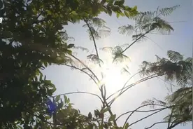 快查！防晒衣、防晒伞、太阳镜也有保质期，你的过期了吗？图片