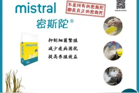 法国原装进口密斯陀图片