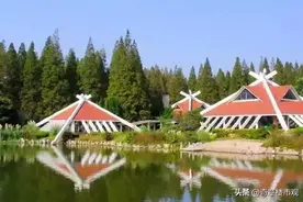 228万起买精装叠加！崇明东滩光明墅今日认筹！未来轨交直达图片