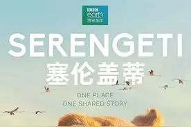 10部适合孩子看的高分自然纪录片（建议收藏）图片