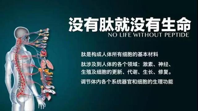 为什么医生不建议吃小分子肽 2026年最新为什么医生不建议吃小分子肽 为什么医生不建议吃小分子肽 2026年最新为什么医生不建议吃小分子肽