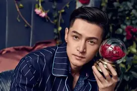 被央视表扬的4个艺人：胡歌屡登央视，韩红曾入选《感动中国》图片