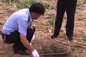 东周大墓发掘记：A级通缉令，抓获22名盗墓贼，出土三千件宝贝图片