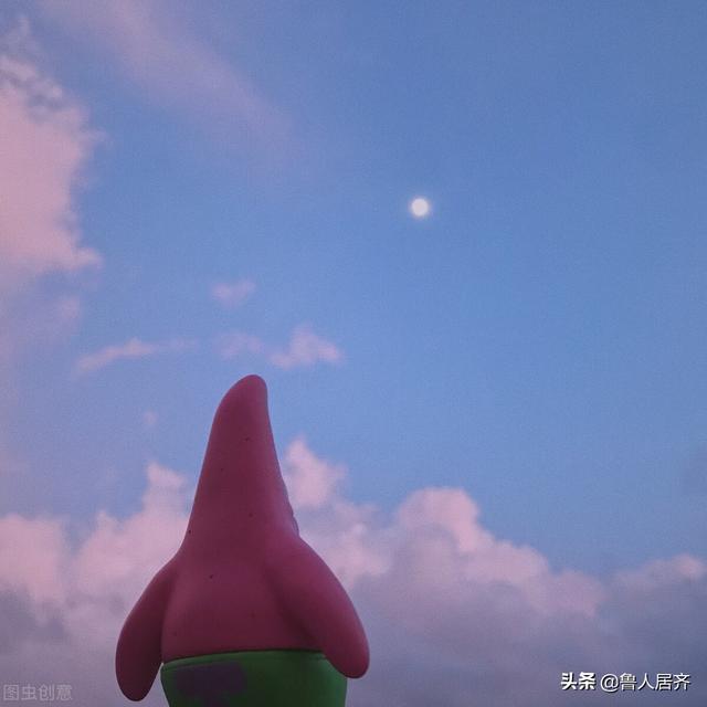 海星花胶的功效与作用及食用方法 2026年海星花胶的功效与作用及食用方